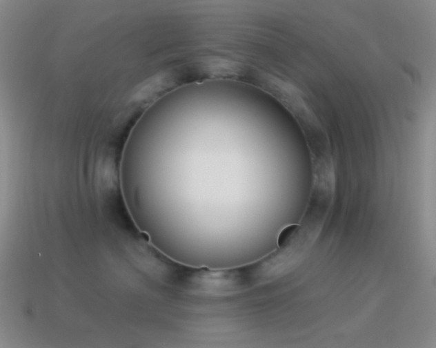 X0000114510622200910191134