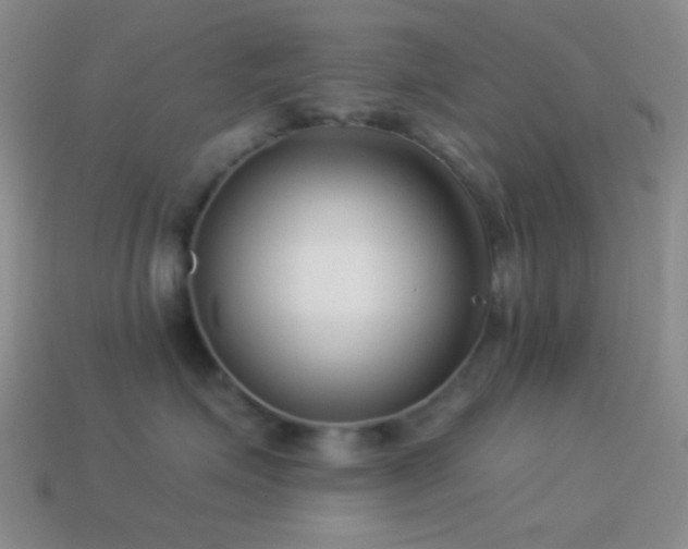 X0000114510623200910191134