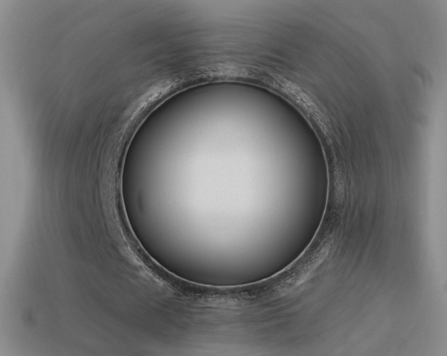 X0000114510625200910191133