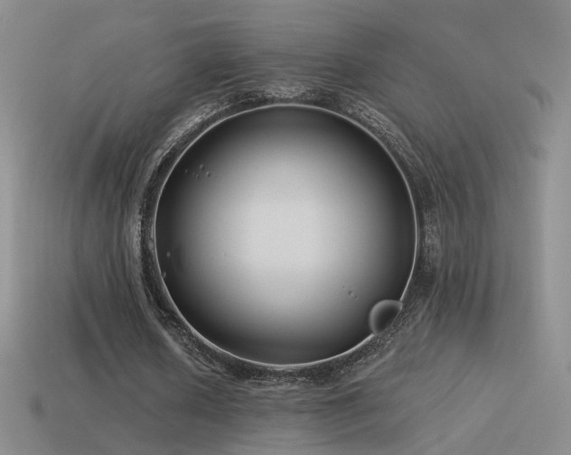 X0000114510626200910191133