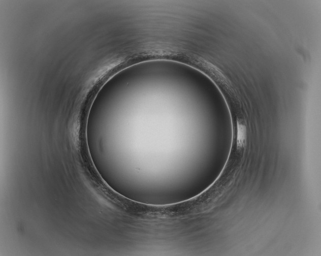 X0000114510627200910191133