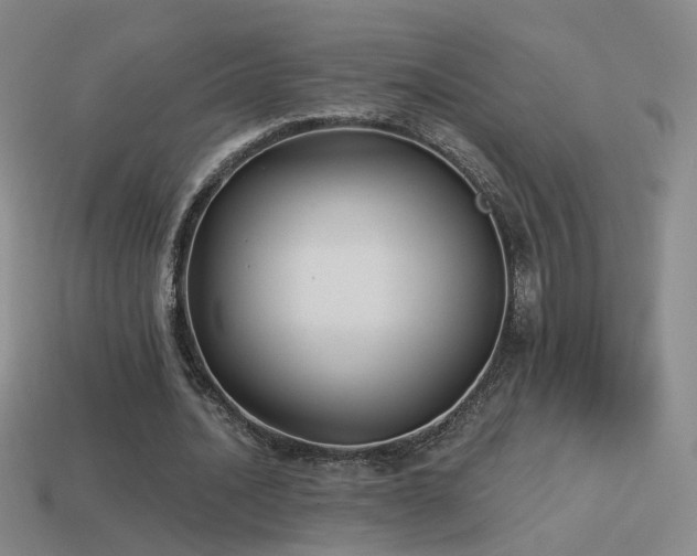 X0000114510628200910191133