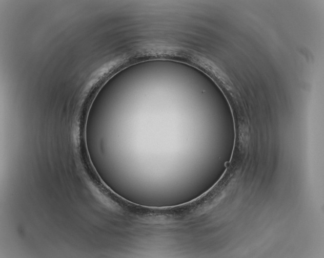 X0000114510629200910191133