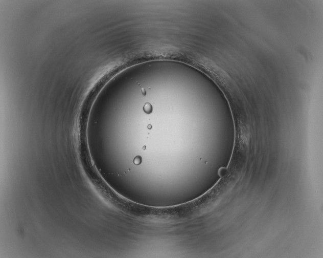 X0000114510630200910191133