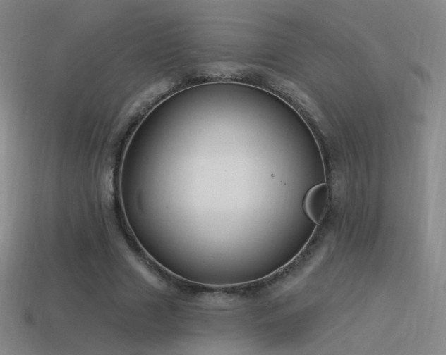 X0000114510633200910191133