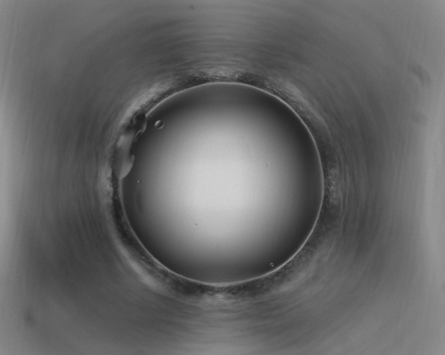 X0000114510634200910191133