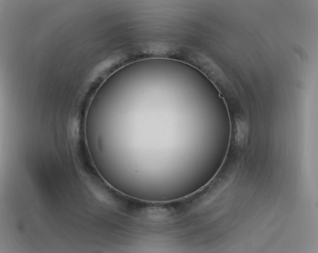 X0000114510636200910191133