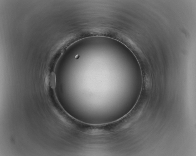 X0000114510637200910191133