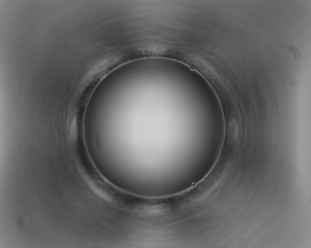 X0000114510638200910191133