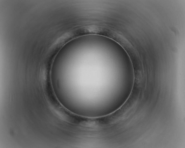 X0000114510639200910191133