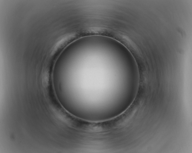 X0000114510640200910191133