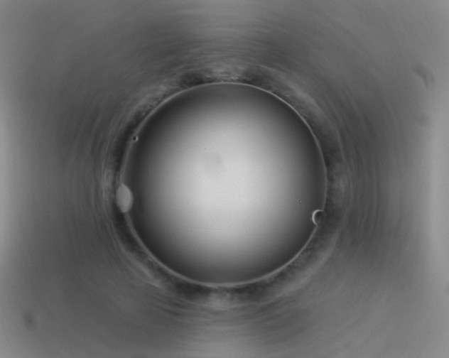 X0000114510641200910191133