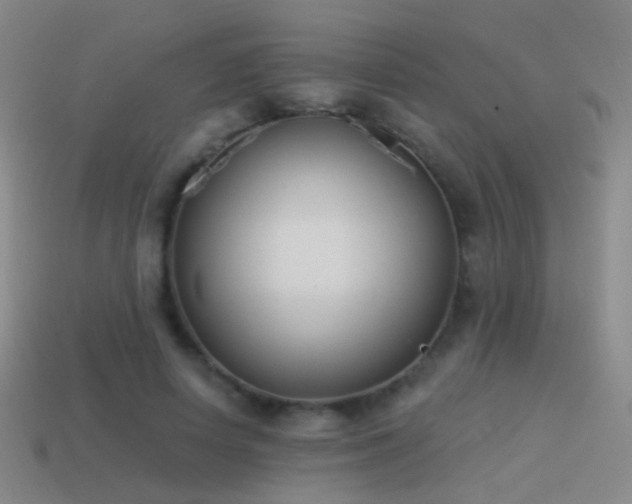 X0000114510642200910191133