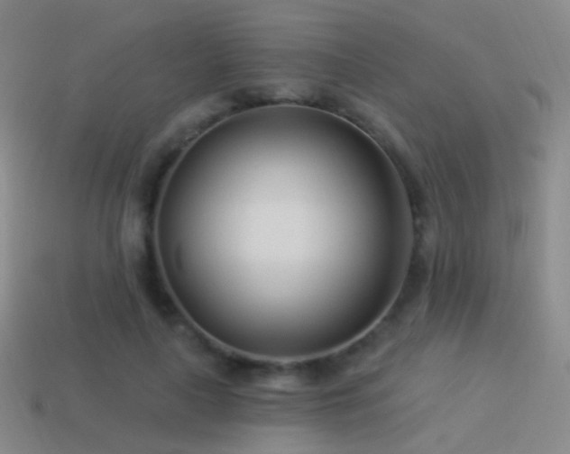 X0000114510643200910191133