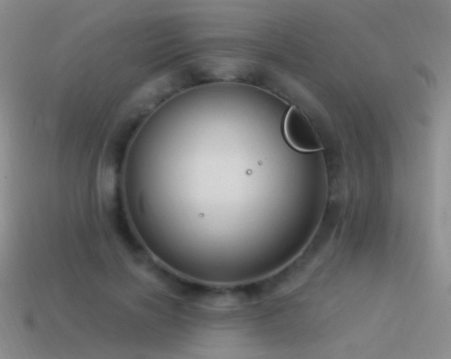 X0000114510646200910191133