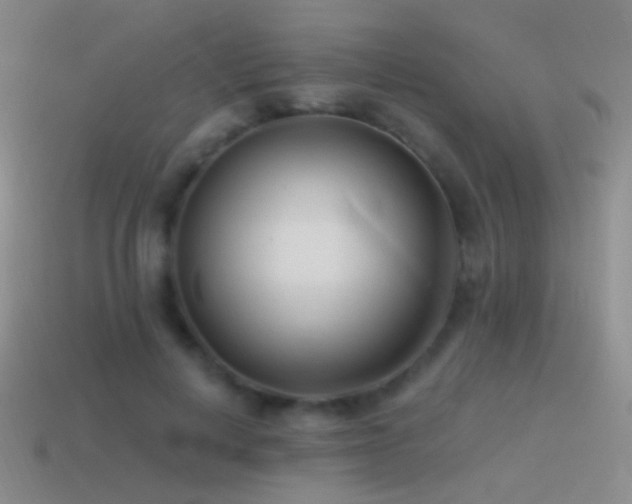 X0000114510648200910191133