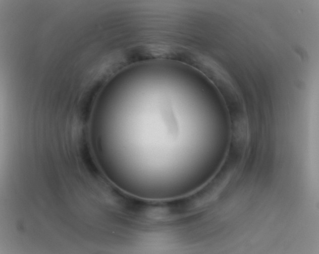 X0000114510653200910191133