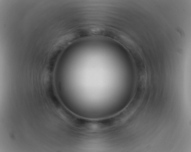 X0000114510654200910191133