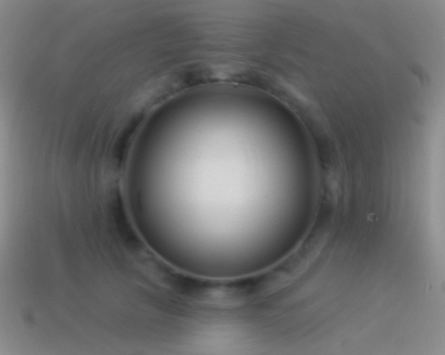 X0000114510657200910191133