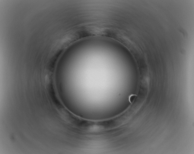 X0000114510658200910191134