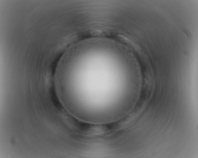 X0000114510659200910191134