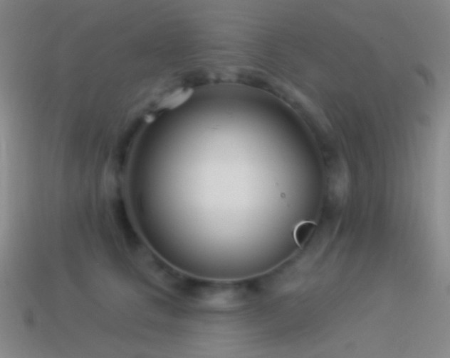 X0000114510661200910191134