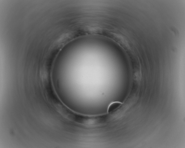 X0000114510662200910191134