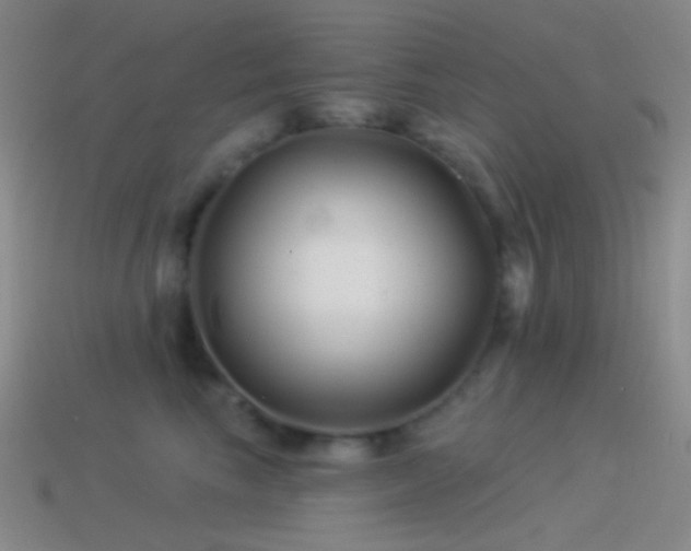 X0000114510665200910191134