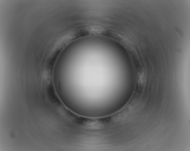 X0000114510666200910191134