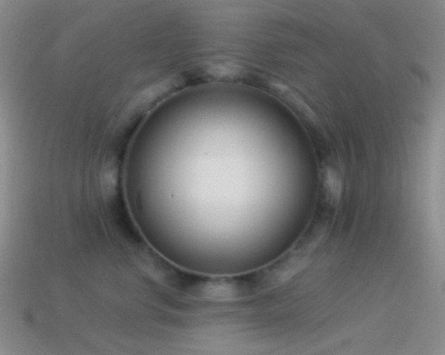 X0000114510668200910191134