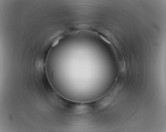 X0000114510669200910191134