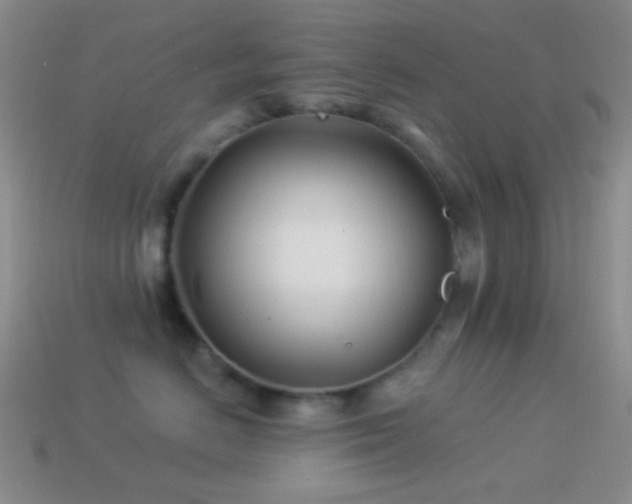 X0000114510670200910191134