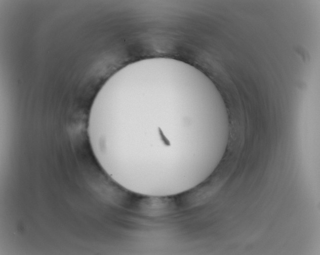 X0000114510672200910191134