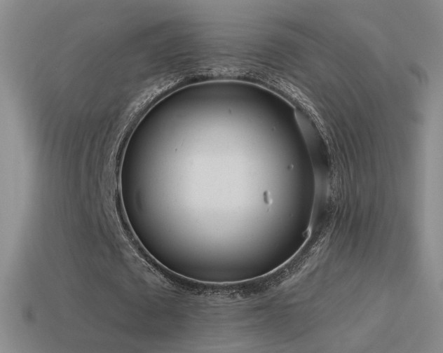 X0000114510673200910191133