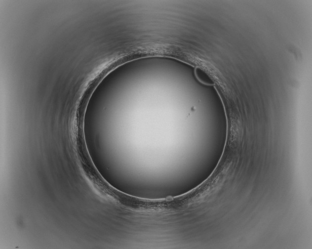 X0000114510674200910191133