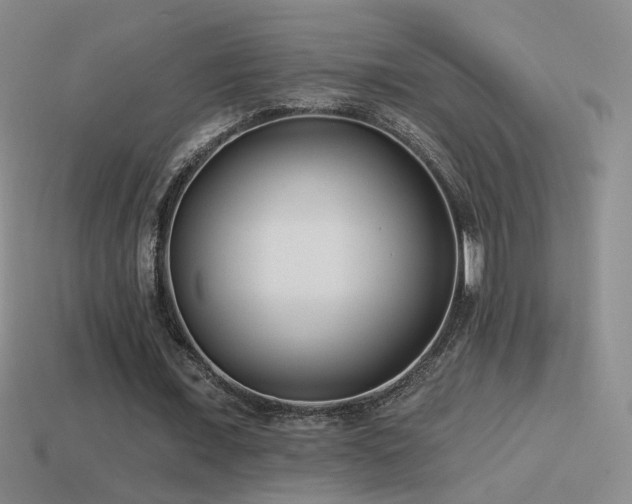 X0000114510675200910191133