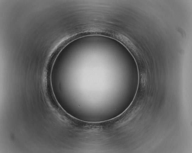 X0000114510676200910191133