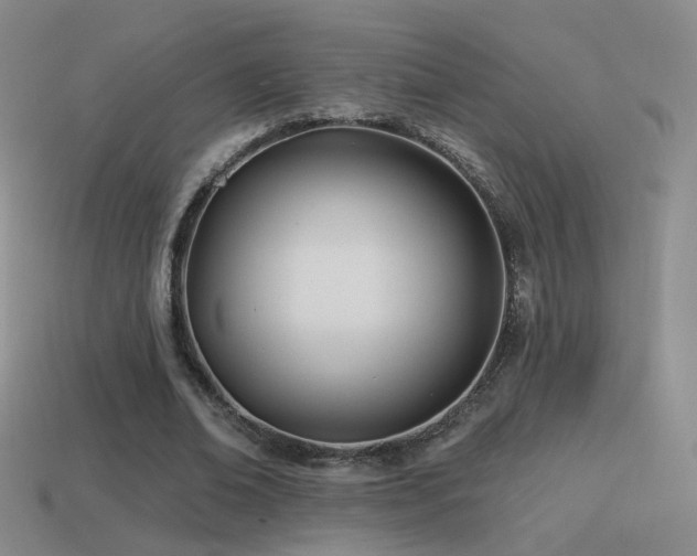 X0000114510678200910191133