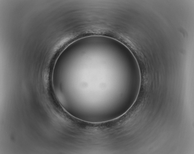 X0000114510679200910191133