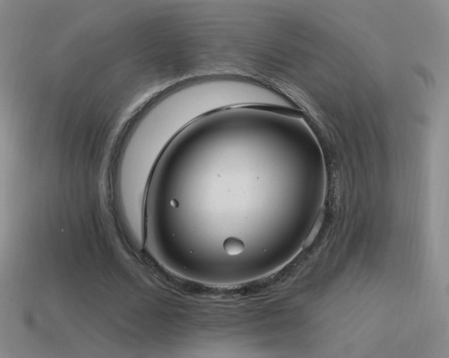 X0000114510680200910191133