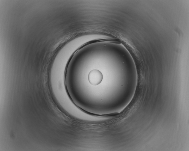 X0000114510681200910191133