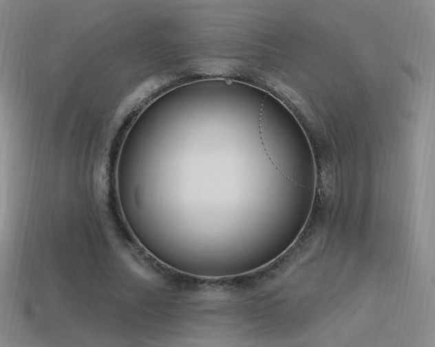 X0000114510682200910191133