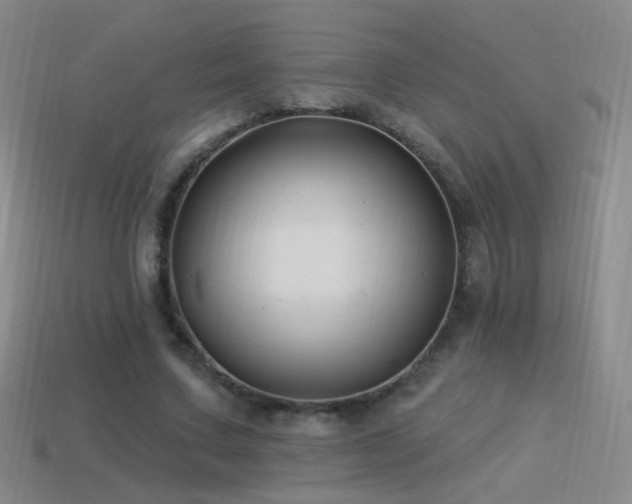 X0000114510683200910191133