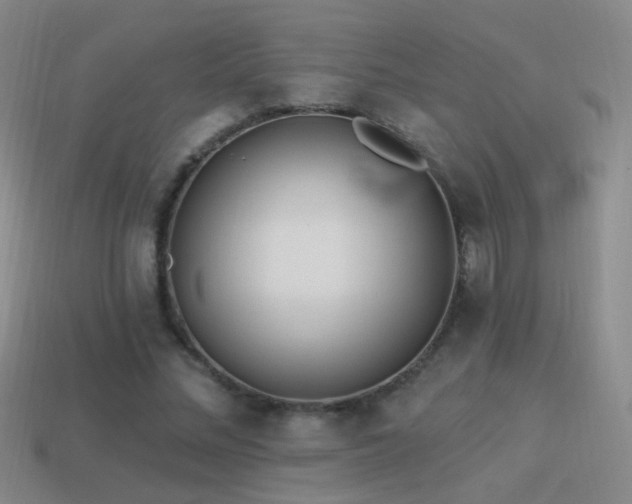 X0000114510684200910191133