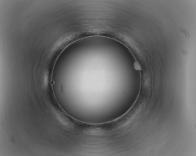 X0000114510685200910191133