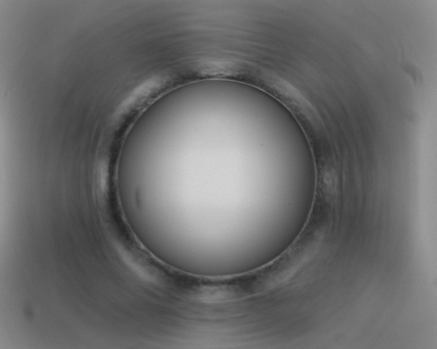 X0000114510686200910191133