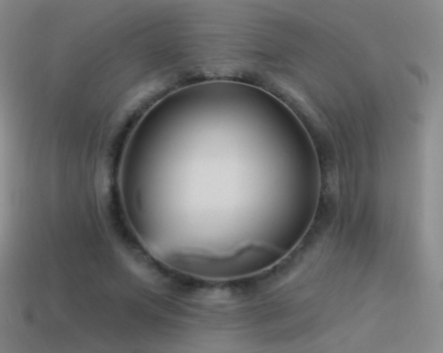 X0000114510687200910191133