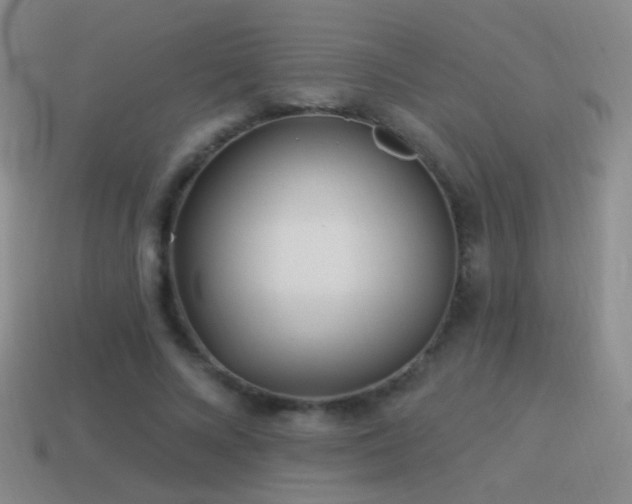 X0000114510688200910191133