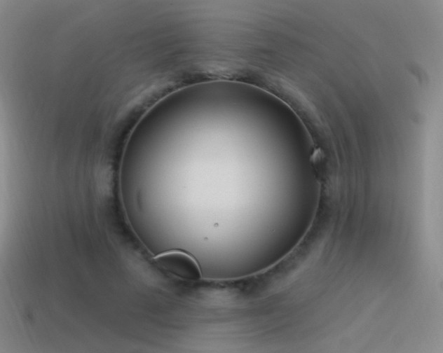 X0000114510689200910191133