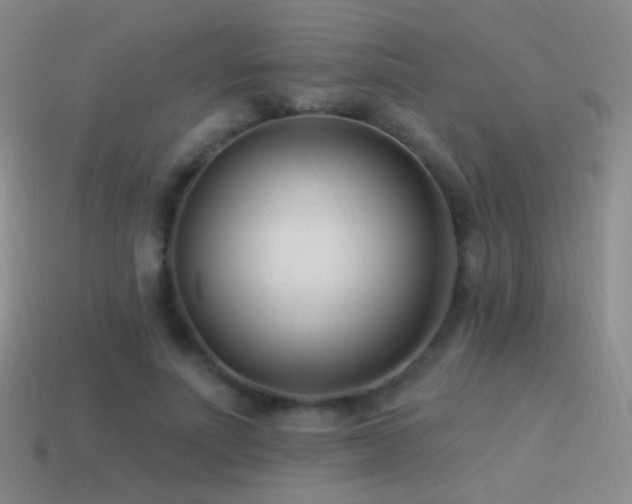 X0000114510691200910191133